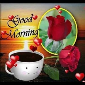 Meet your Posher, Love